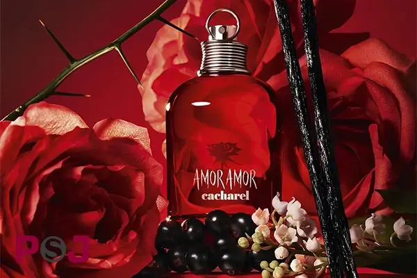 عطر آمور آمور کاچارل | Cacharel Amor Amor