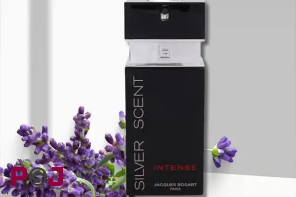 عطر سیلور سنت بوگارت | Silver Scent Bogart